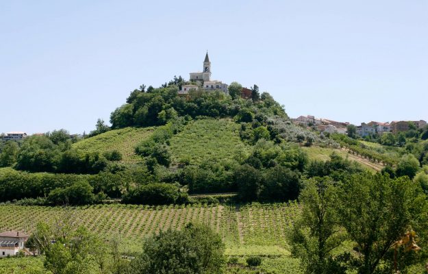 CITTÀ DEL VINO, CITTÀ DELL'OLIO, LEGGE MADE IN ITALY, MINISTERO DELL'AGRICOLTURA, REGISTRO DELLE ASSOCIAZIONI NAZIONALI DELLE CITTÀ DI IDENTITÀ, Non Solo Vino