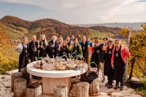 Tra i filari di Bisol1542 sulla cima del Cartizze, una vendemmia solidale