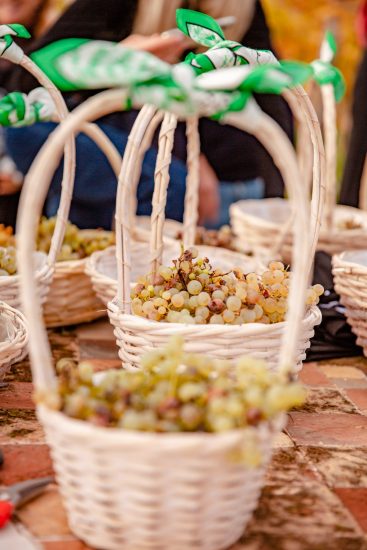 La Vendemmia di San Martino da Bisol