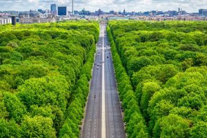 Legge di bilancio, il bonus verde sarà prorogato fino al 2024