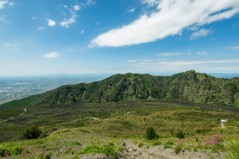 Il Vesuvio che domina i vigneti in Campania