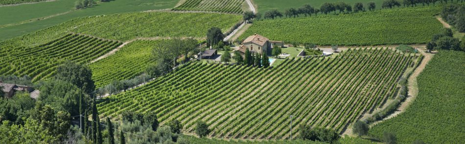 I vigneti e la tenuta Le Chiuse