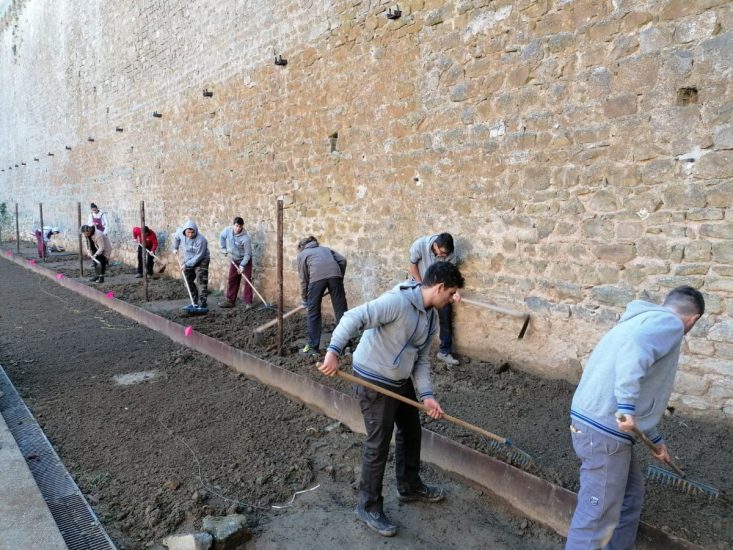 I lavori per la piantumazione del vigneto urbano in Fortezza a Montalcino