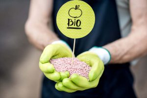 Inflazione e guerra frenano il biologico, che arretra nelle vendite dopo decenni di crescita Inflazione e guerra frenano il biologico, che arretra nelle vendite dopo decenni di crescita