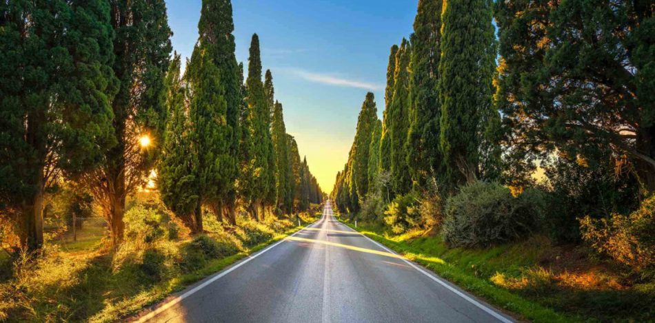 Il viale dei cipressi di Bolgheri