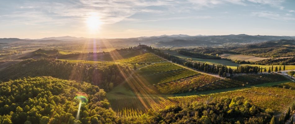 Le vigne ed il bosco con Castello Banfi