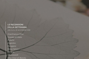 I Vini di WineNews - N. 180