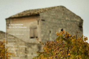 I Vini di WineNews - N. 181