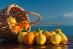 Agricoltura e territori: nasce la &ldquo;Consulta nazionale dei Distretti del cibo&rdquo;