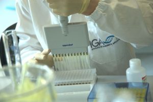 Il futuro del vino tra scienza e ricerca, tra portainnesti, vitigni resistenti e genetica Il futuro del vino tra scienza e ricerca, tra portainnesti, vitigni resistenti e genetica