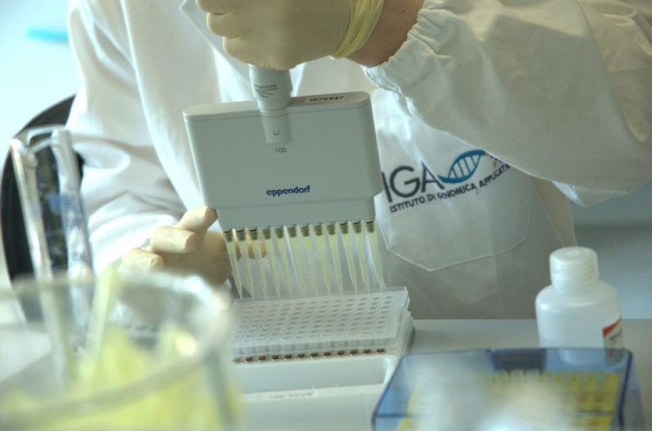 La ricerca sul genoma della vite