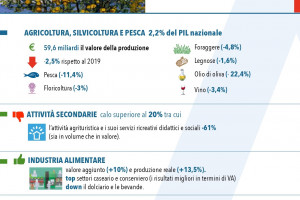 La pandemia non frena l’agricoltura, incoronata come settore chiave dell’economia