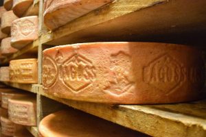 “L’Atlante delle Filiere” dell’Università di Scienze Gastronomiche, Slow Food Italia e Cariplo “L’Atlante delle Filiere” dell’Università di Scienze Gastronomiche, Slow Food Italia e Cariplo