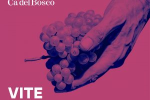 “Vite nel bosco: un podcast per raccontare l’uomo (Maurizio Zanella) dietro Ca’ Del Bosco “Vite nel bosco: un podcast per raccontare l’uomo (Maurizio Zanella) dietro Ca’ Del Bosco