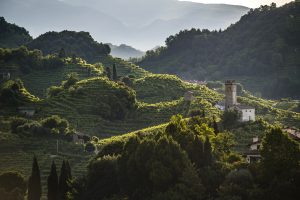 Prosecco Docg, a “cultural” product flying towards 100 million bottles in 2021