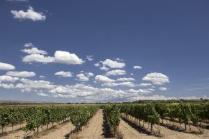 Le fotografie di Dirk Vogel per celebrare i cento anni di Varvaglione1921