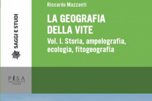 Prima al mondo per numero di vitigni e produzione: i numeri dell’Italia, superpotenza del vino
