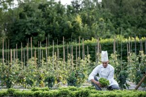 Ristoranti con orto, “dispense naturali” in città e spazi verdi recuperati e coltivati come un tempo Ristoranti con orto, “dispense naturali” in città e spazi verdi recuperati e coltivati come un tempo