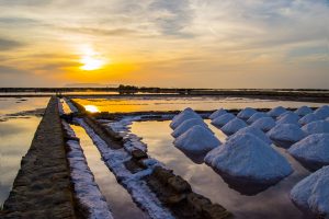 Salina Culcasi, Sale Marino di Trapani Presidio SlowFood