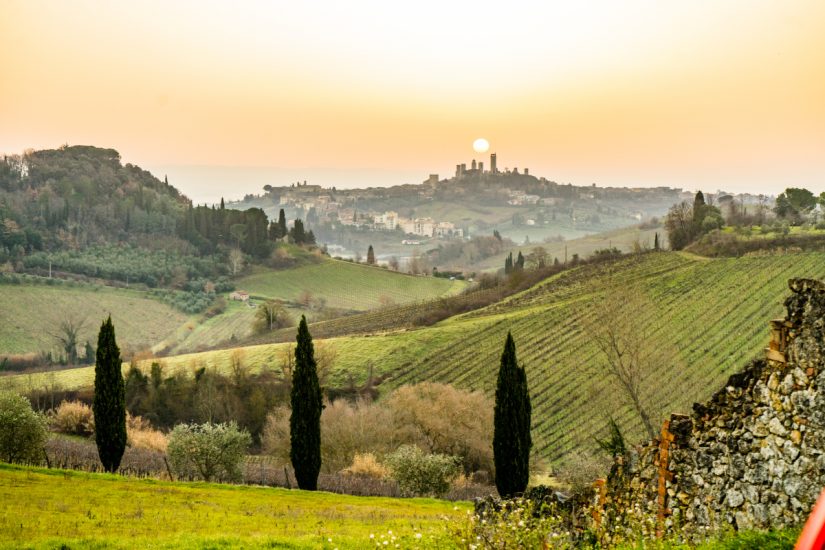 San Gimignano, terra della Vernaccia