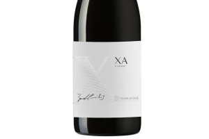 Tempa di Zoè, Paestum Igt Fiano Xa 2019