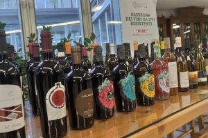 Tra sostenibilità, ricerca e futuro, cresce l’interesse intorno ai vini da vitigni resistenti (Piwi)