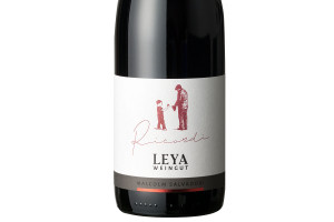 Weingut Leya, Mitterberg Igt Schiava Ricordi 2019