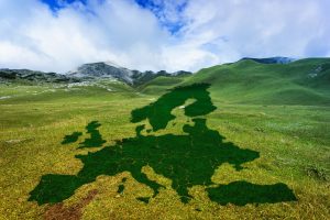 Stop alla deforestazione, Cia-Agricoltori Italiani: “il 70% dei terreni europei è da salvare” Stop alla deforestazione, Cia-Agricoltori Italiani: “il 70% dei terreni europei è da salvare”