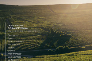 I Vini di WineNews - N. 182