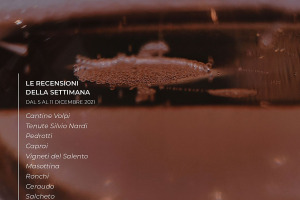 I Vini di WineNews - N. 183