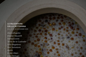 I Vini di WineNews - N. 184