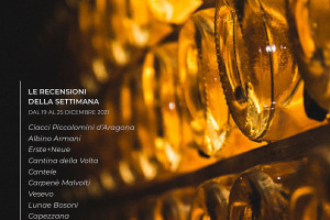 I Vini di WineNews - N. 185