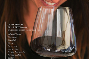 I Vini di WineNews - N. 186