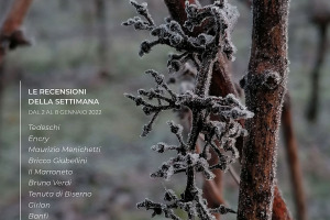 I Vini di WineNews - N. 187