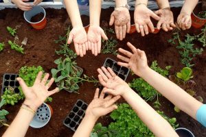 Il cambiamento &ldquo;green&rdquo; parte dalla scuola: 102 milioni per promuovere la transizione ecologica