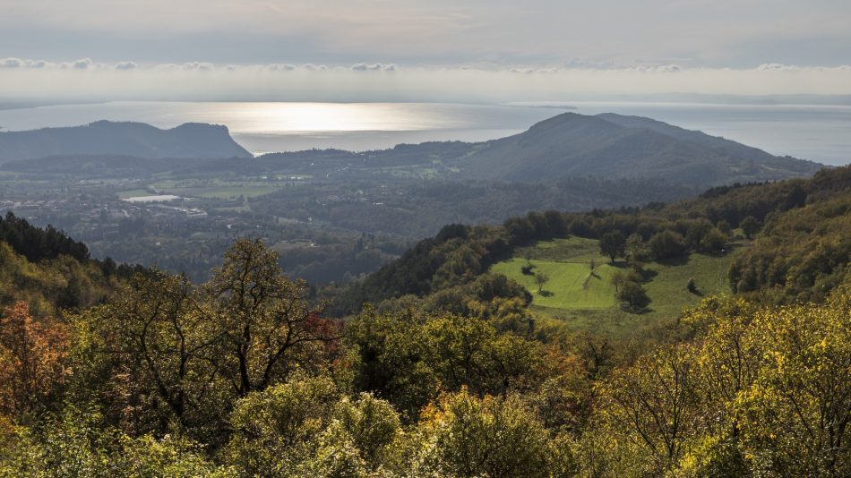 I distretti del Bardolino: Montebaldo