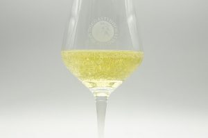 Asti DOCG has closed a stellar 2021: promotion and 102 million bottles produced