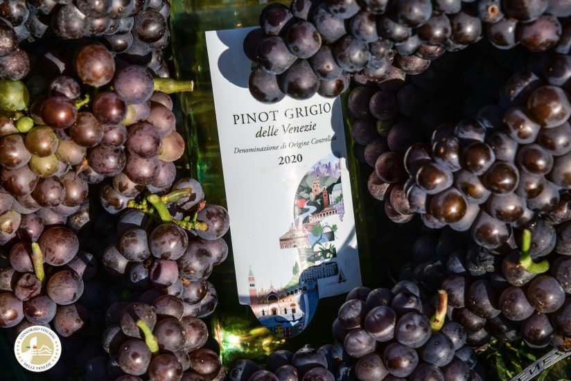 Il Pinot Grigio italiano cresce nel mondo
