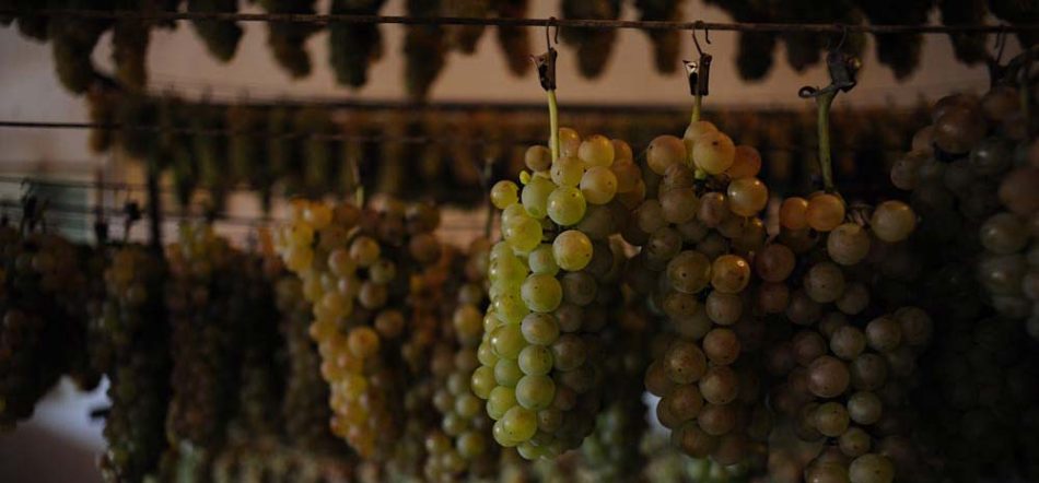 La riscossa dell’Erbaluce di Caluso