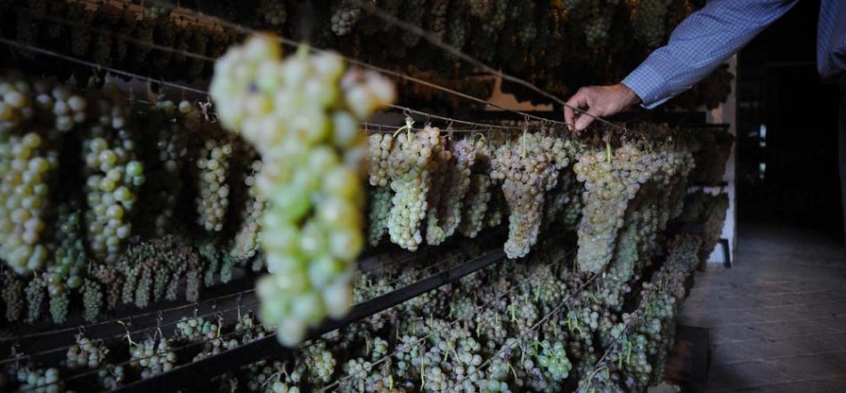 La riscossa dell’Erbaluce di Caluso