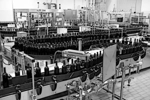 Energia, materie prime e trasporti: +10% il costo di produzione di una bottiglia di vino