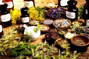 Dall’elenco delle specie ai criteri di raccolta: via libera al decreto sulle piante officinali