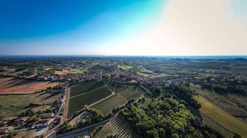 I vigneti del Ruchè, nel Monferrato