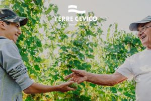 Terre Cevico, da cooperativa romagnola a gigante del vino italiano nel mondo