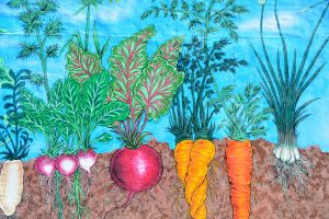 Il carrello è sempre più verde, cresce il bio made in Italy (+7%). Coldiretti: “approvare la legge”