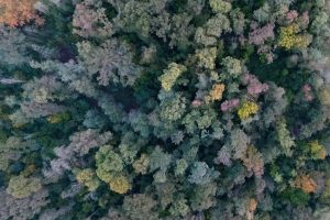 La cantina “custode” di un bosco, che insegna ai più giovani il vero valore della biodiversità