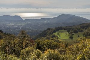 Il Bardolino si rilancia con i suoi “cru”, a partire dal Montebaldo. E pensa da “distretto”