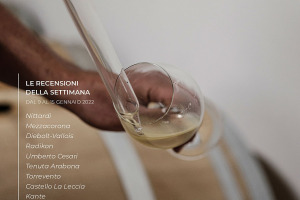 I Vini di WineNews - N. 188