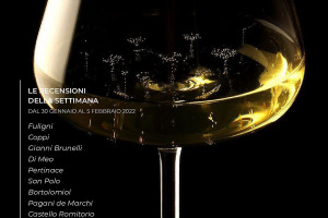 I Vini di WineNews - N. 191