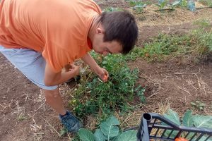 &ldquo;Coltiviamo agricoltura sociale&rdquo;: integrazione, innovazione e sensibilit&agrave;
